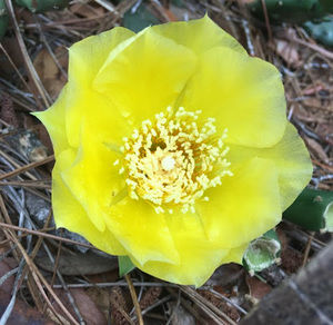 Meet your Posher, Synkey